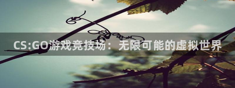 星欧娱乐是什么：CS:GO游戏竞技场：无限可能的虚拟世界