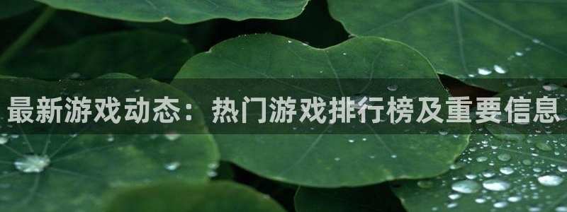 星欧娱乐app下载|下载地址：最新游戏动态：热门游戏排行榜及