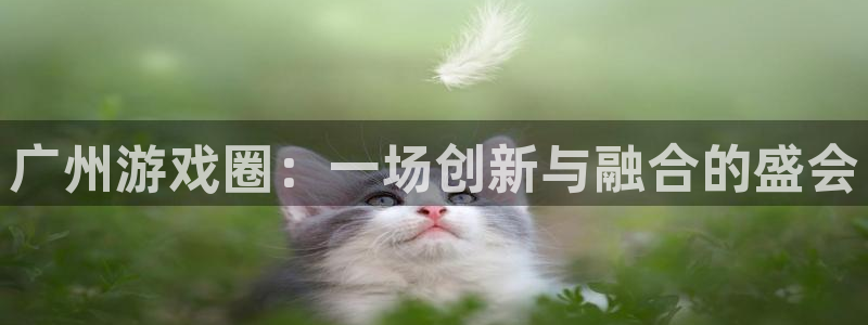 星欧娱乐平台注册资金多少：广州游戏圈：一场创新与融合的盛会