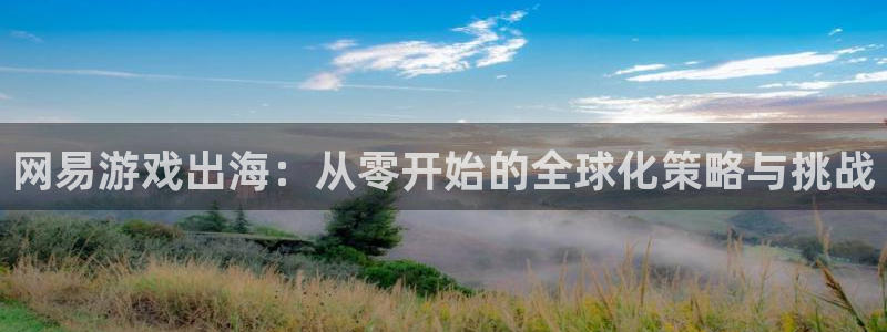 星欧娱乐注册账号：网易游戏出海：从零开始的全球化策略与挑战